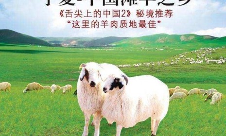 鹽池灘羊，寧夏灘羊核心產(chǎn)區(qū)，鹽灘貴族，五登國宴，羊肉界的“勞斯萊斯”